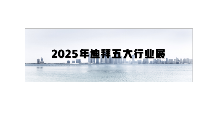 2025年迪拜五大行业展